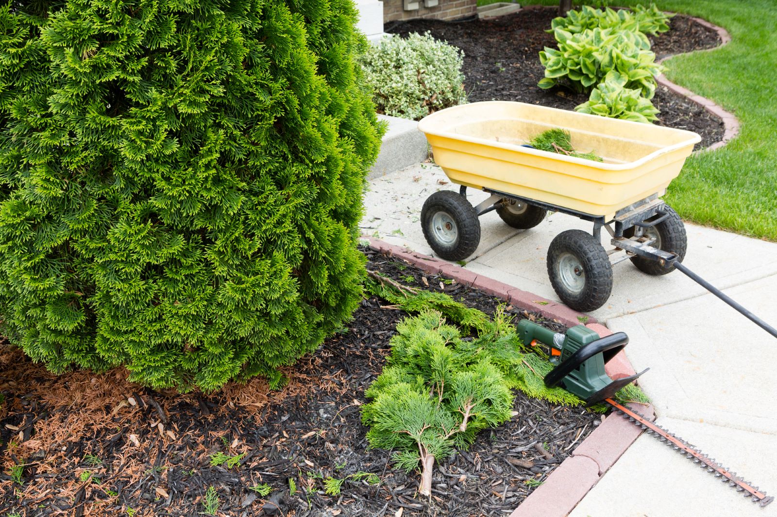 Maintenance Tips for Garden Carts