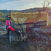 A red ATV with hay in the ATV Rear Basket Rack Universal Fitment.